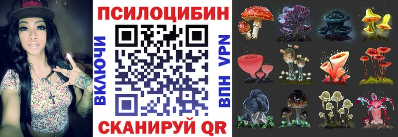 Галлюциногенные грибы мицелий Каменск-Шахтинский